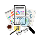 SEO Audits